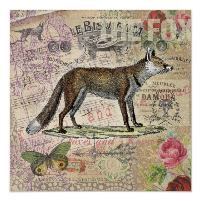 Fox Wildlife Vintage Animal Illustration  Poster (Front)