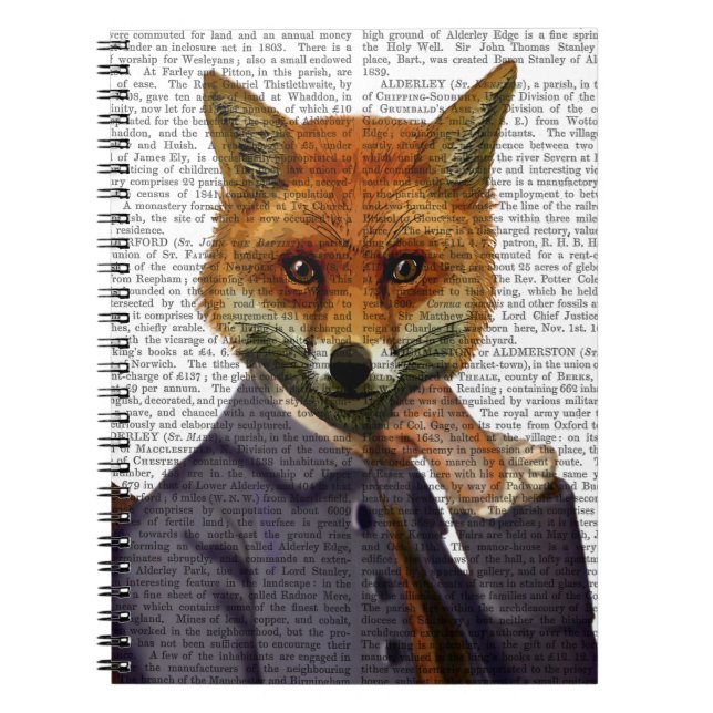 Fox With Flute 2 Notebook (Front)
