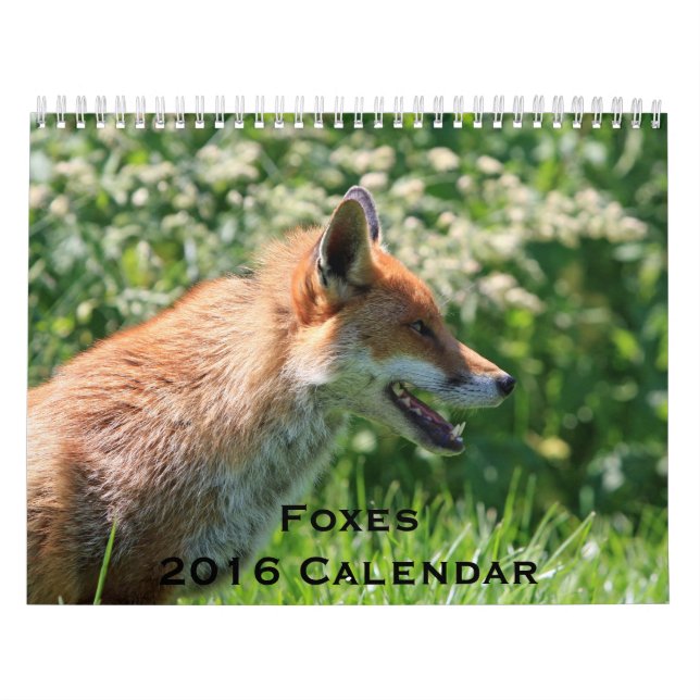 Foxes 2016 Calendar (Cover)