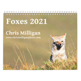 Foxes 2021 by Chris Milligan Calendar