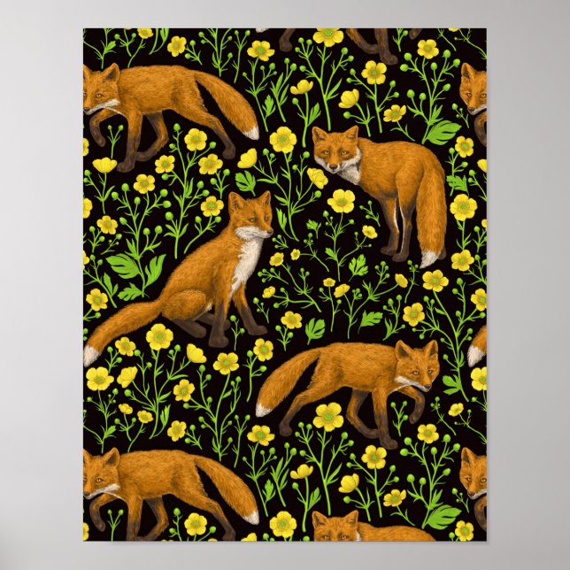 Foxes and buttercups on black poster (Front)