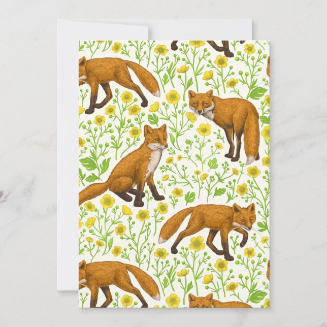 Foxes and buttercups on natural white (Front)