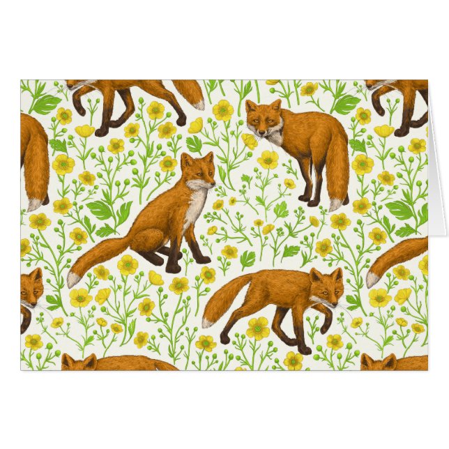 Foxes and buttercups on natural white (Front Horizontal)