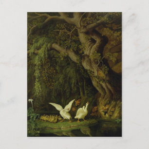 Foxes and Geese Postcard