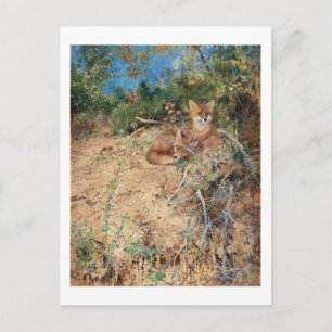 Foxes, Bruno Liljefors Postcard