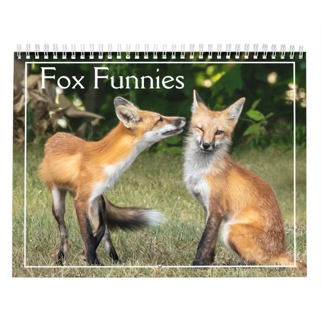  Foxes Funnies Calendar (Cover)
