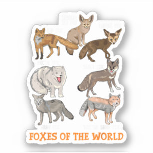 Foxes Of The World Funny Fox Stuff Animals Educati