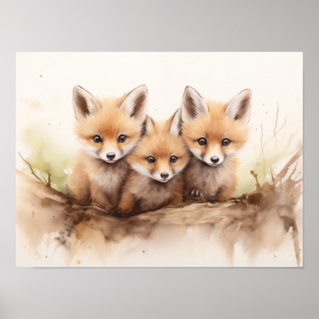 Foxes Poster (Front)
