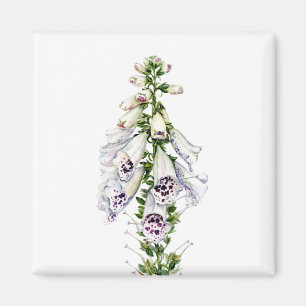 Foxglove flower magnet