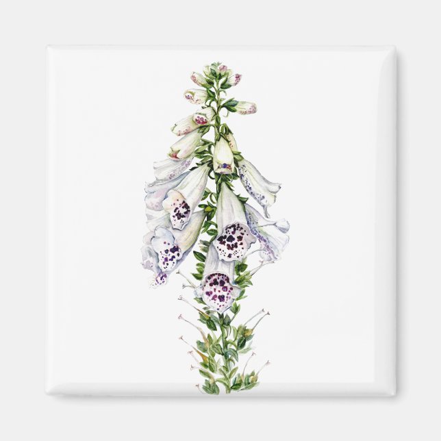 Foxglove flower magnet (Front)