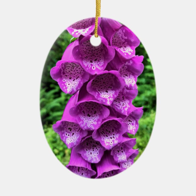 Foxglove Flowers, Oregon Ceramic Tree Decoration (Front)