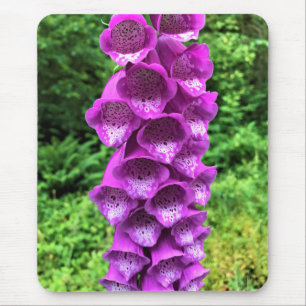 Foxglove Flowers, Oregon Mouse Mat