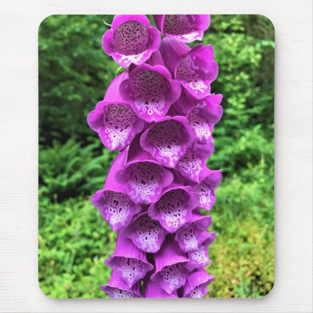 Foxglove Flowers, Oregon Mouse Mat (Front)