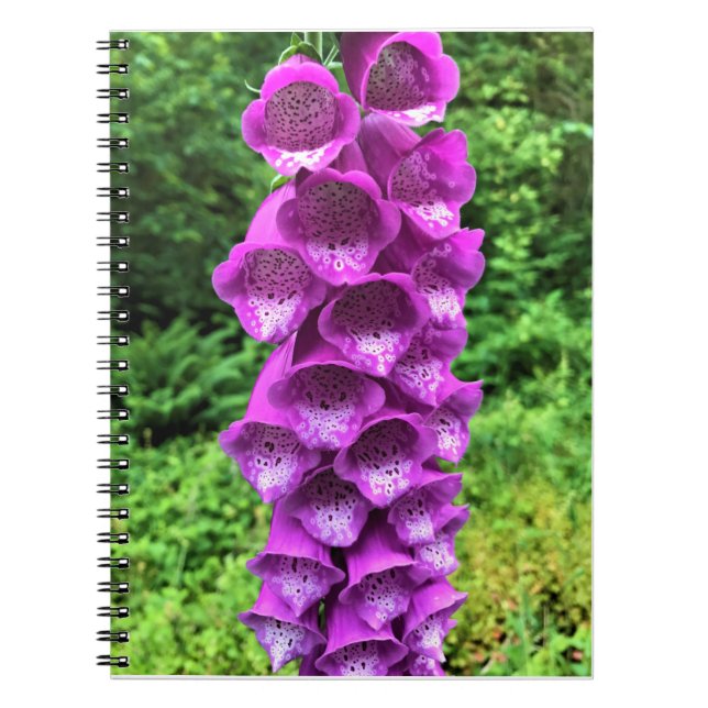 Foxglove Flowers, Oregon Notebook (Front)