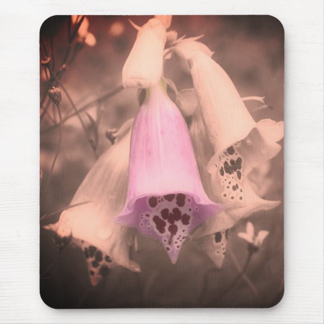 Foxglove Flowers Vintage Black And White  Mouse Mat (Front)