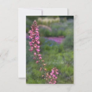Foxglove in Perennial Garden Card