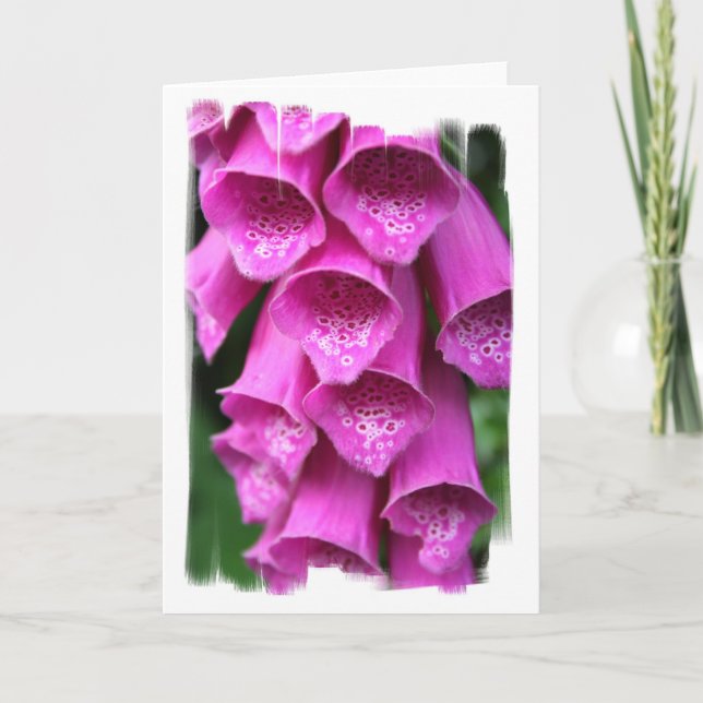 Foxglove Plant Greeting Card (Front)