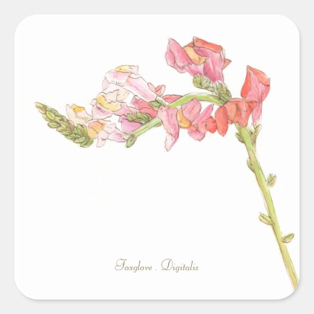 Foxglove Sticker (Front)