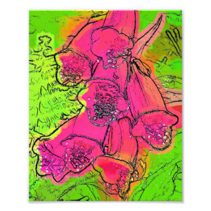 FOXGLOVES PHOTO PRINT