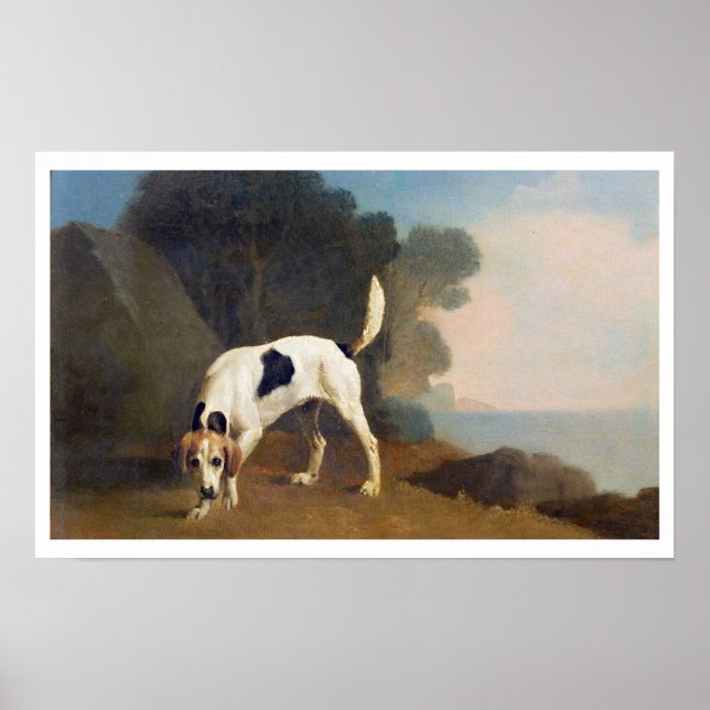 Foxhound on the Scent, c.1760 (oil on paper laid o Poster (Front)