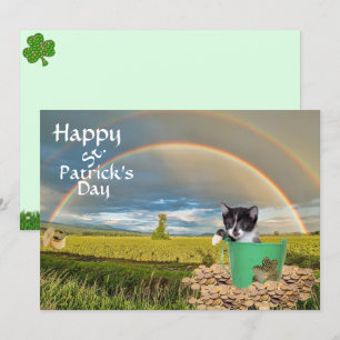 Foxi Moxi Cat's St. Patrick's Day