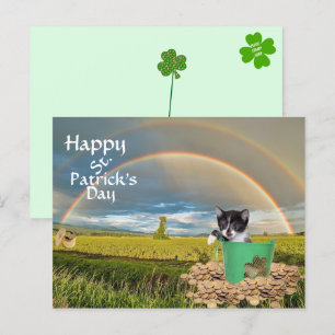 Foxi Moxi Cat's St. Patrick's Day Postcard