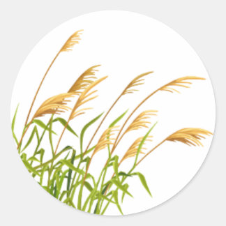 Foxtail Grass Classic Round Sticker
