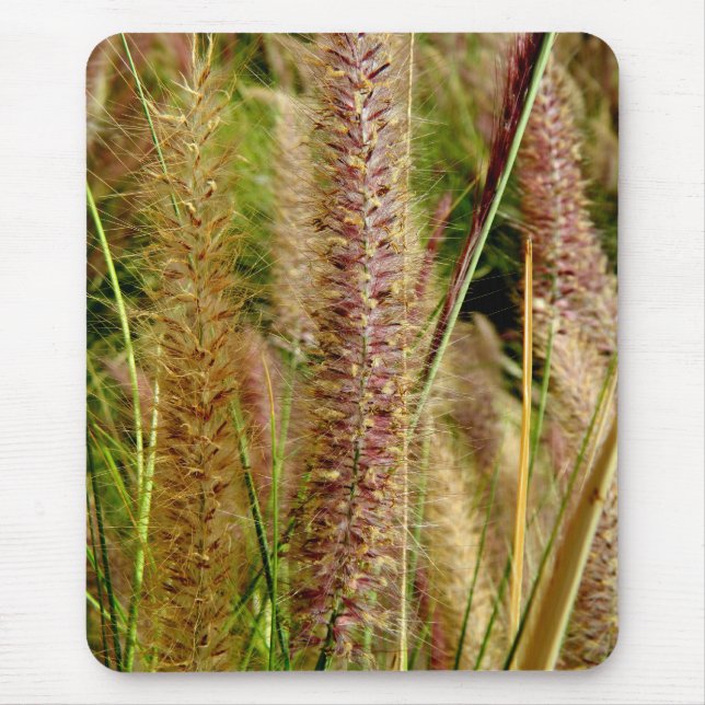 Foxtail grass macro photography picture mouse mat (Front)