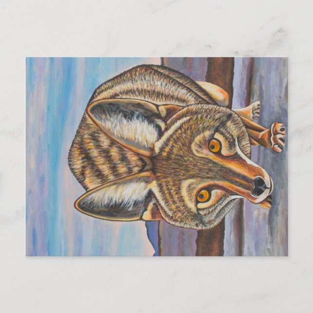 Foxy Coyote Postcard (Front)