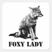 Foxy lady concept illustration