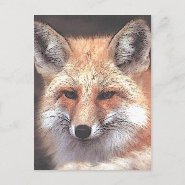 foxy postcard (Front)