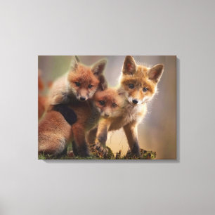Foxy Triplets Canvas Print