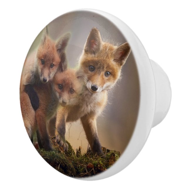 Foxy Triplets Ceramic Knob (Right)