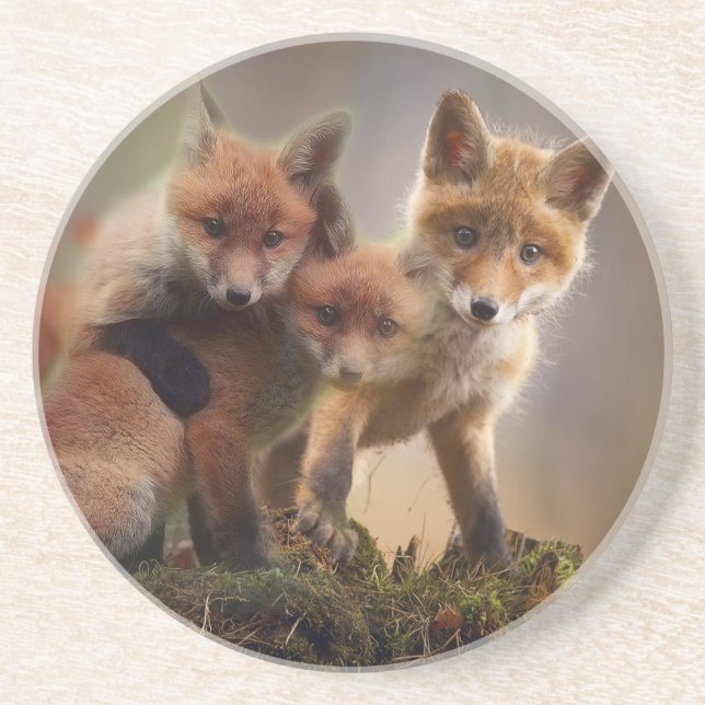 Foxy Triplets Coaster (Front)