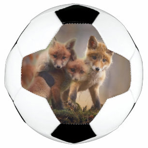 Foxy Triplets  Football