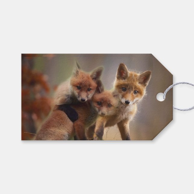 Foxy Triplets Gift Tags (Front (Horizontal))