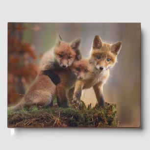 Foxy Triplets Guest Book