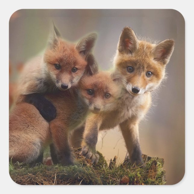 Foxy Triplets Square Sticker (Front)