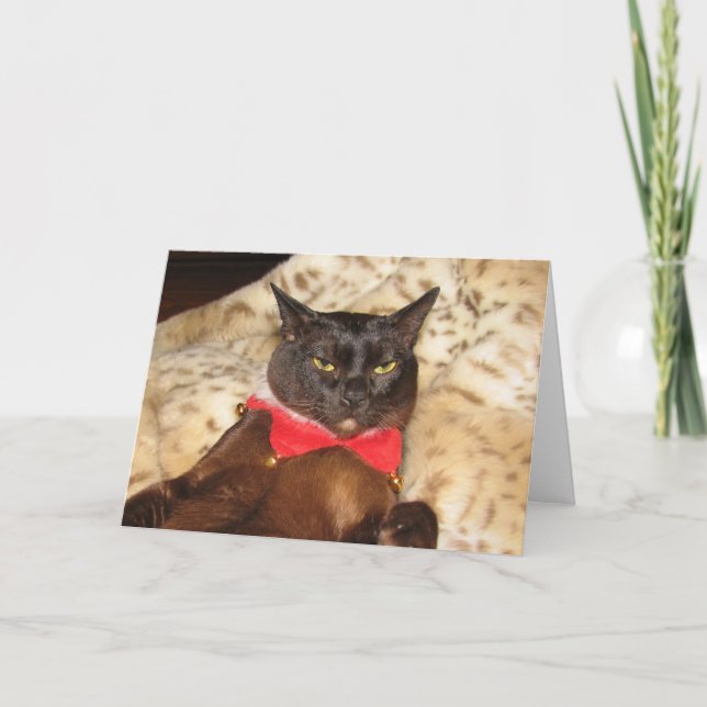 FPG Xmas Burmese 1 (blank) Holiday Card (Front)