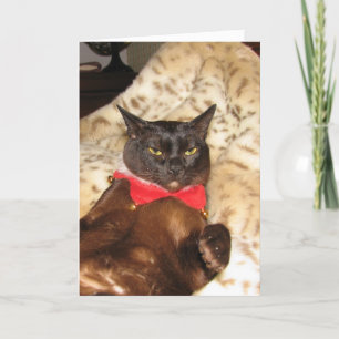 FPG Xmas Burmese 1 - Holiday Card