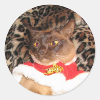FPG Xmas Burmese 2 - Classic Round Sticker