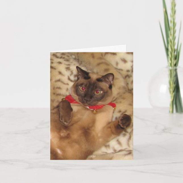 FPG Xmas Tonkinese 2 - Holiday Card (Front)