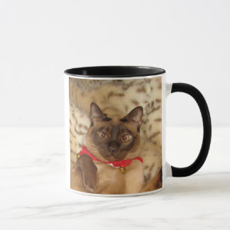 FPG Xmas Tonkinese 2 - Mug