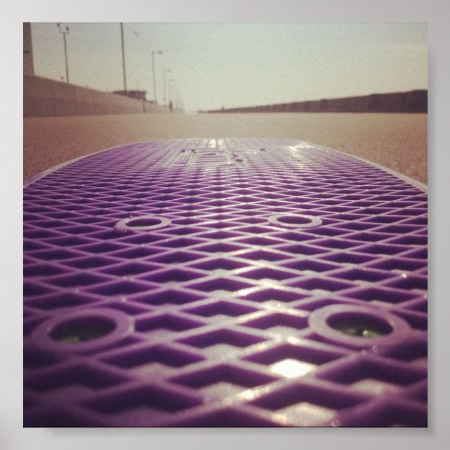 FPS Penny Board. Poster (Front)
