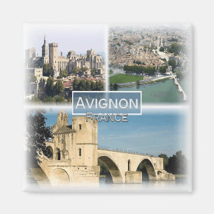 FR0117 Europe, France, Avignon, Fridge Magnet