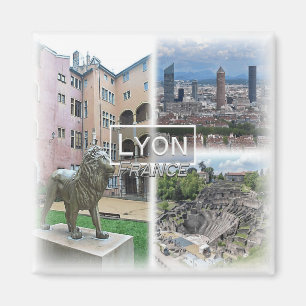 FR0121 Europe, France, Lyon, Fridge Magnet