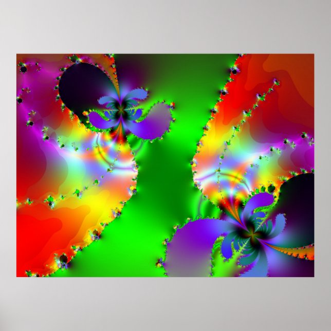 Fractal 843-2 poster (Front)