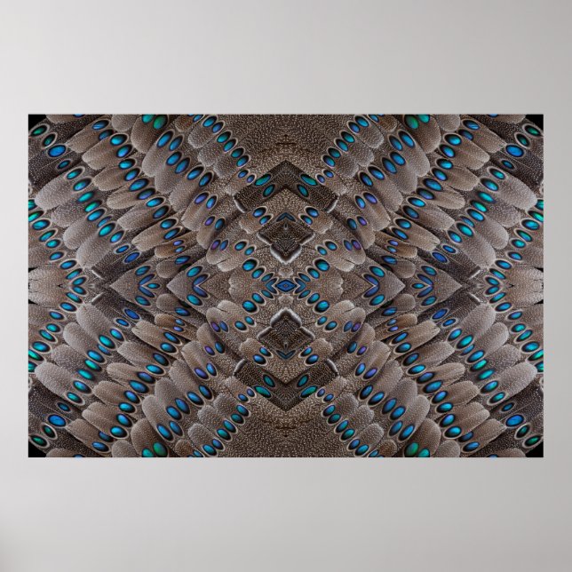 Fractal Design Pheasant Feather Poster (Front)