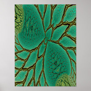 Fractal Leaf Detail Poster