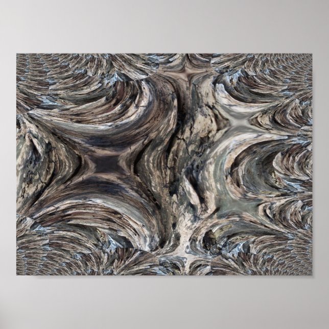 Fractal Tracing of Tree Bark Poster (Front)